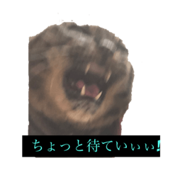 aoi_20221009151825