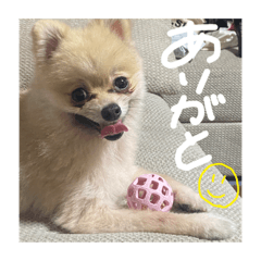 Aoi_20221009191934