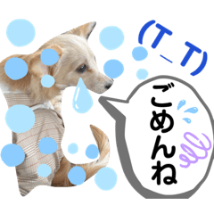 yuka_20221009202204