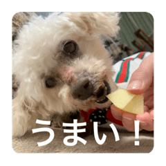 プリチーレオ