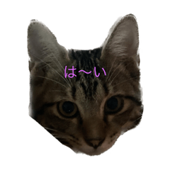 Natsumi_20221009205831