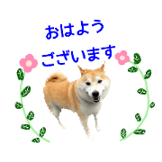 Furu furu_20221009194339