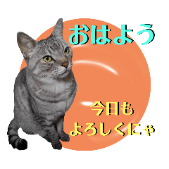 tomumama_20221009204525