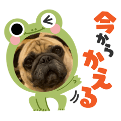 pagu san stamp
