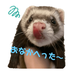 kii_20221010072155