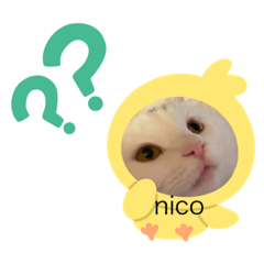 nico_chang