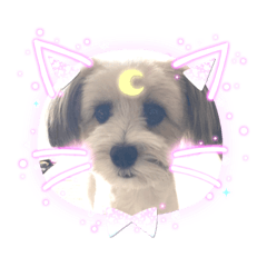 eririn_20221010102625