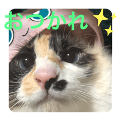 arisa_20221010171738