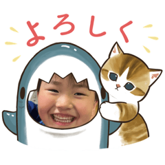 haru toki