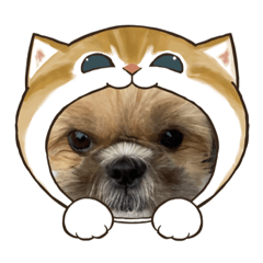 Poohpon_20221010182035