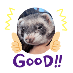 kamacute_20221010194805