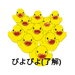 Duck_20221010151240