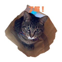 Yukari_20221010220021