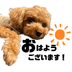 SHIHO_20221010232942