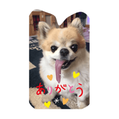 tomomi_20221011034754