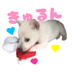 punipuni_20221011115703