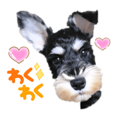 NOZOMI_20221011134628