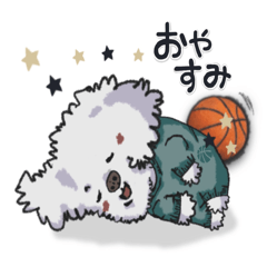 Puru-chan loves basketball