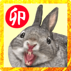 A rabbit is a story of the leading role