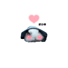 灰灰兔