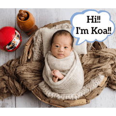 Baby Koa AG!