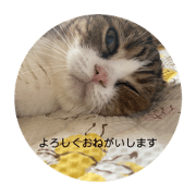 yu@pi@ka_20221011174124