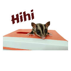 可愛玖玖-長長久久