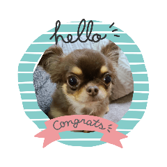 satoshi_20221011183511