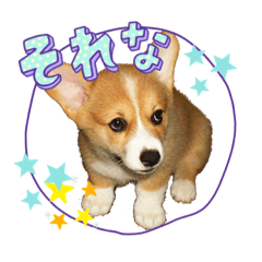 Chisa_20221012025508