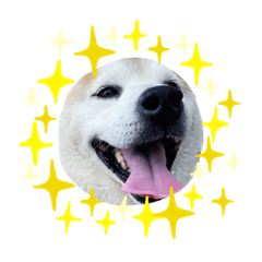 SHIHO_20221012093351