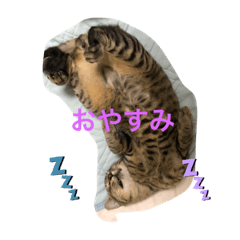 AKIIRA_20221011232207