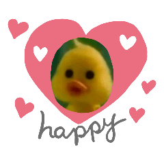 Duck_20221012103113