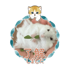 Suzu_20221012165241
