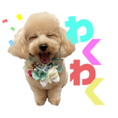 pikapika_20221013072316