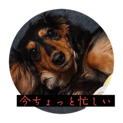 YUKARI_20221012191014