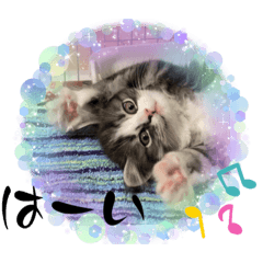 saori_20221013013332