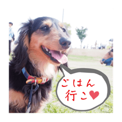 YUKARI_20221012231148