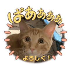 fu-channomama_20221012184139