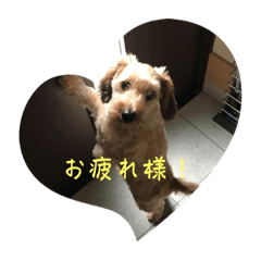 rina_20221012220104