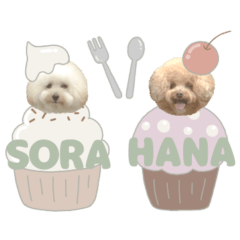 hana sora 2