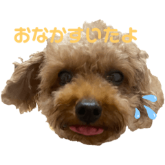 nora_20221012214310