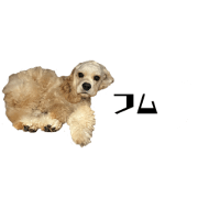 mikushimada_20221013121212