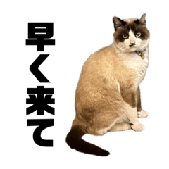 木藤FAMILY