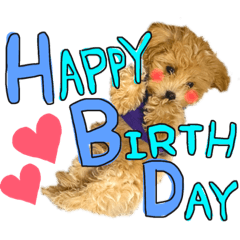 Shiho_20221014021816