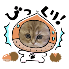 Omochi_20221013163654