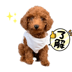 YUKA_20221013203932