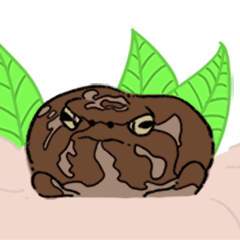 frooooooog