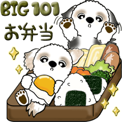 【Big】シーズー 101『お弁当どうぞ！』