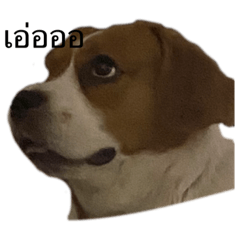 CJ_20221013193307