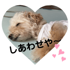 fuwa_20221013185025